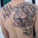 Tattoos - Tiger - 61186